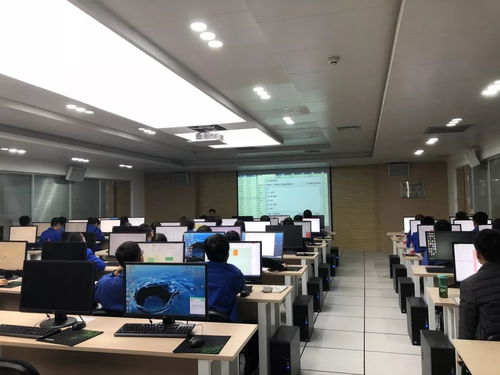 集團(tuán)開展青工常用辦公軟件培訓(xùn)與技術(shù)比武，助力網(wǎng)絡(luò)技術(shù)開發(fā)人才成長(zhǎng)